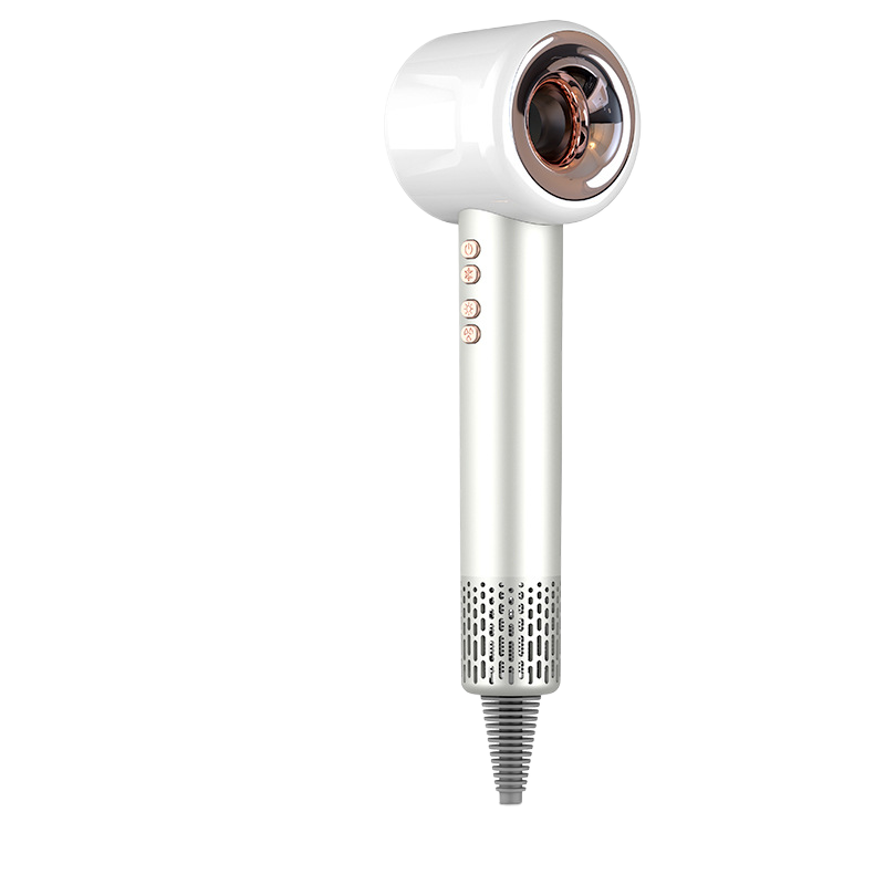 Professional Hair Dryer with Negative Ion Technology — 1600W Brushless | Salon-Grade