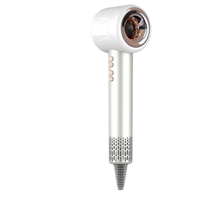 Professional Hair Dryer with Negative Ion Technology — 1600W Brushless | Salon-Grade
