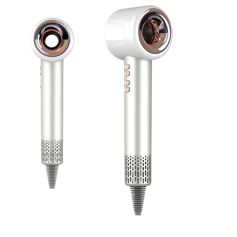 Professional Hair Dryer with Negative Ion Technology — 1600W Brushless | Salon-Grade