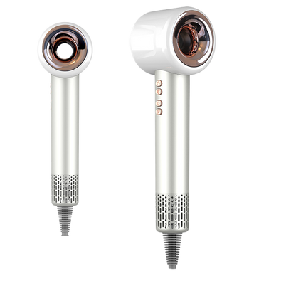 Professional Hair Dryer with Negative Ion Technology — 1600W Brushless | Salon-Grade