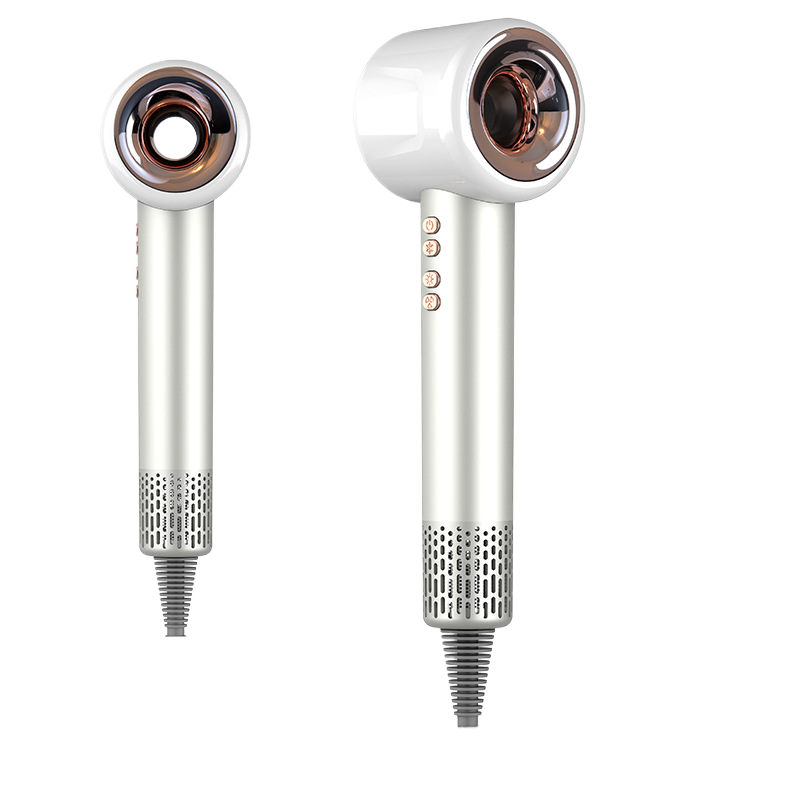 Professional Hair Dryer with Negative Ion Technology — 1600W Brushless | Salon-Grade