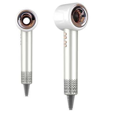 Professional Hair Dryer with Negative Ion Technology — 1600W Brushless | Salon-Grade
