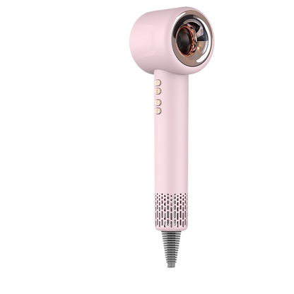 Professional Hair Dryer with Negative Ion Technology — 1600W Brushless | Salon-Grade